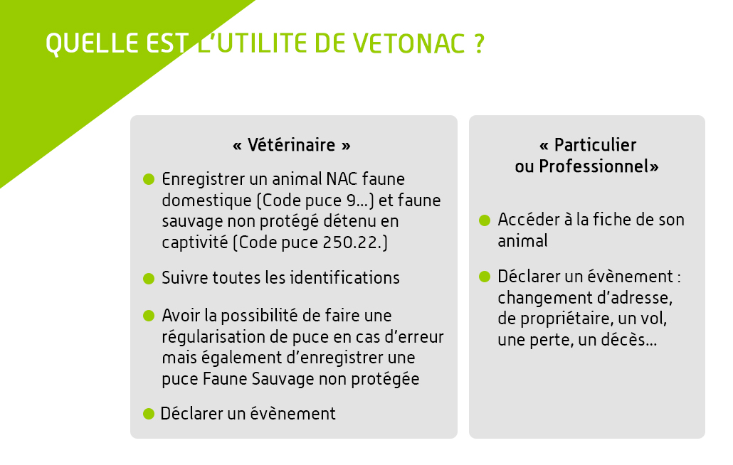 Les points forts de Vetonac